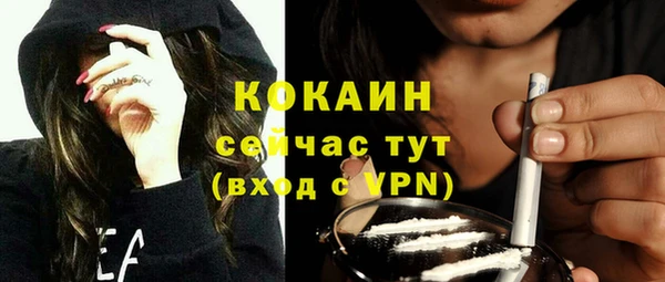 шишки Арсеньев