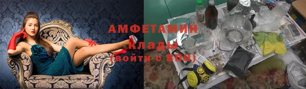 шишки Арсеньев