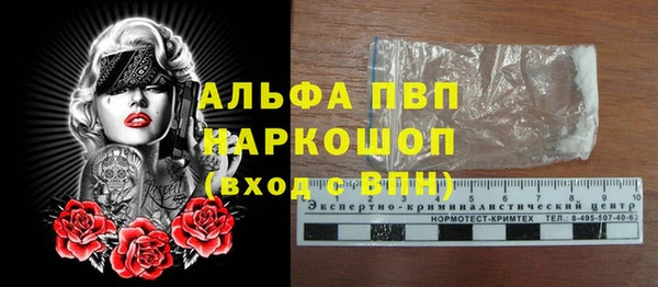 шишки Арсеньев