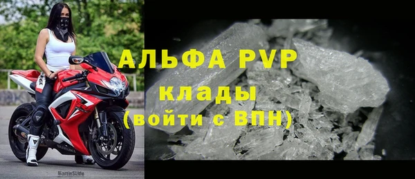 шишки Арсеньев
