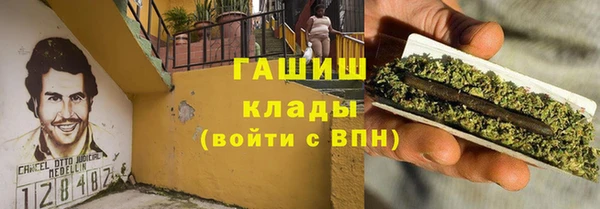 шишки Арсеньев