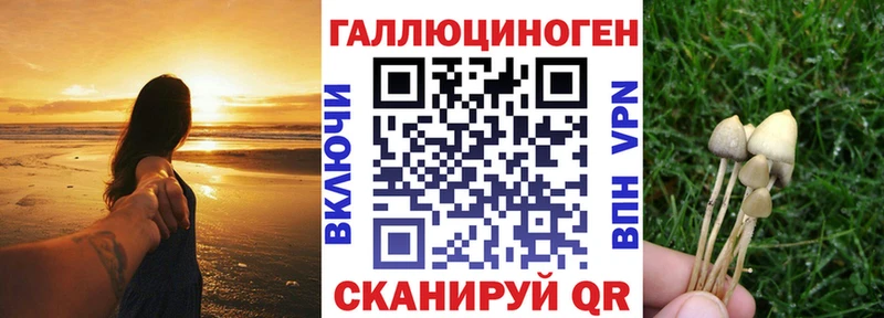 Псилоцибиновые грибы Magic Shrooms Фатеж